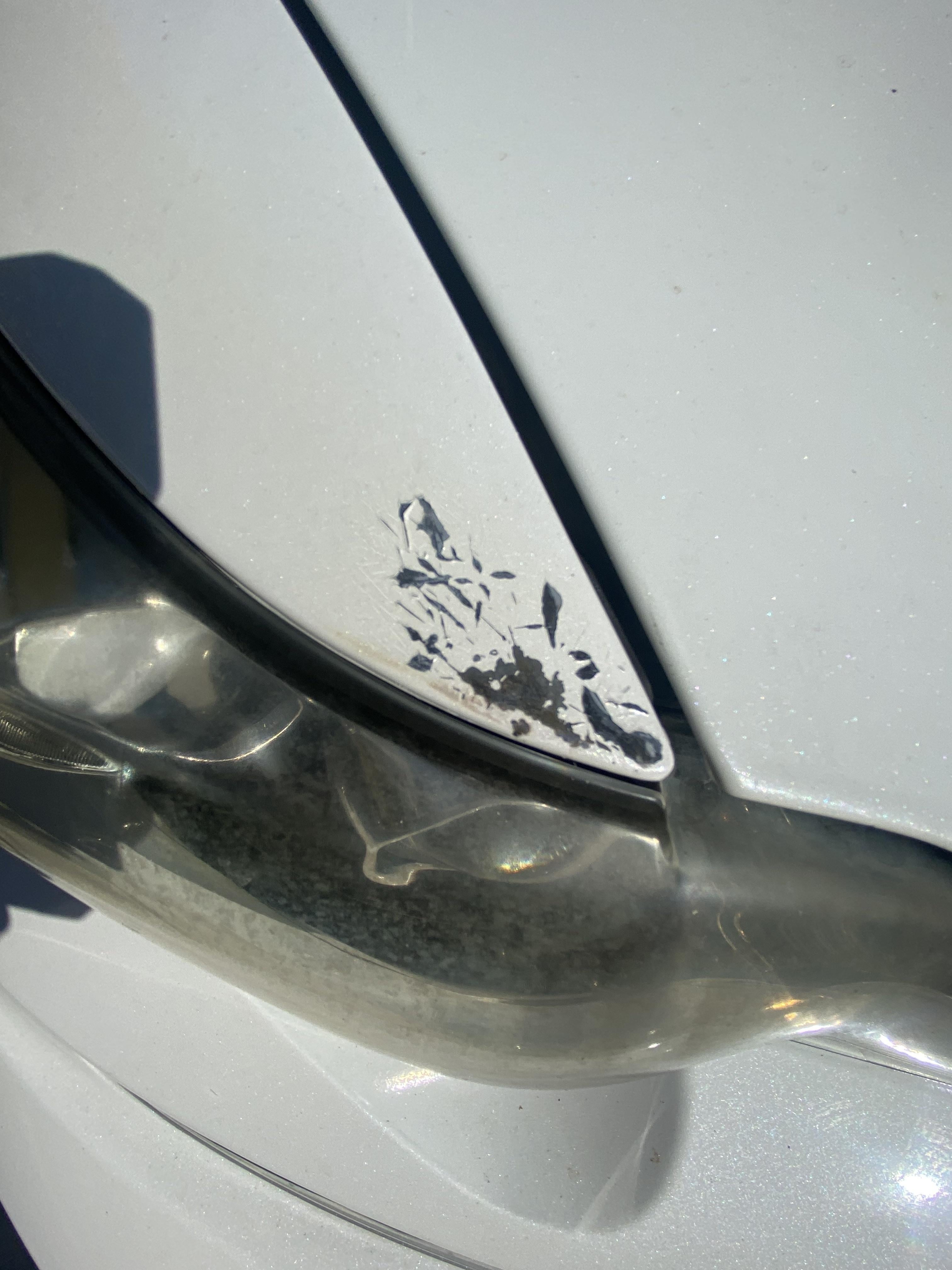 clear coat pen for cars